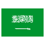 Visum aanvragen voor Saudi-Arabië (e-visum)